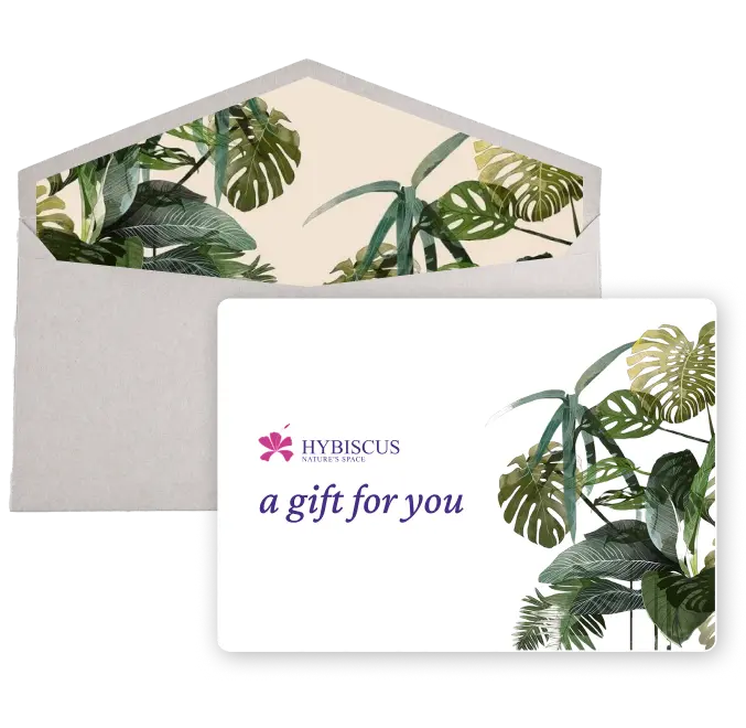 image of a gift card
